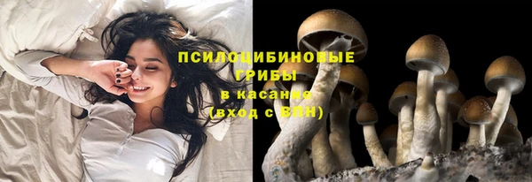 прущий лед Алзамай