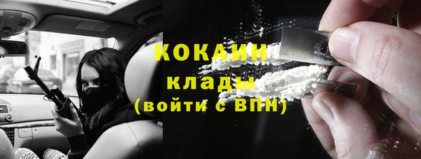 прущий лед Алзамай