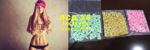 прущий лед Алзамай